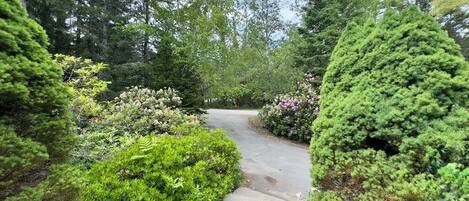 Jardines del alojamiento