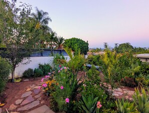 Property grounds - Fallbrook Oasis - Family and dog retreat (Fallbrook)