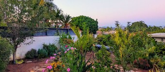 Fallbrook Oasis - Family and dog retreat
