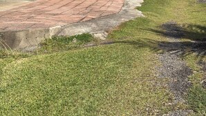 施設の敷地
