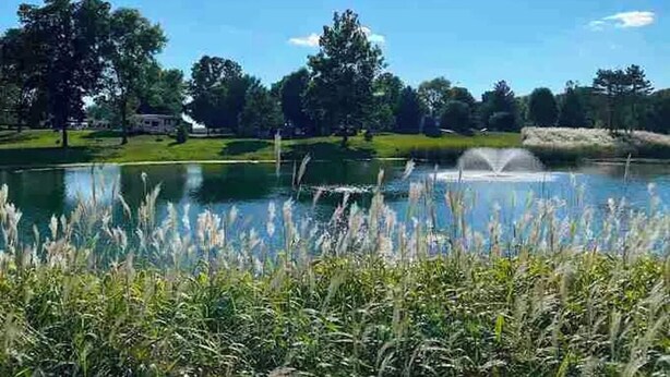 Un lac paisible avec une fontaine, entouré d’une végétation luxuriante et d’arbres.