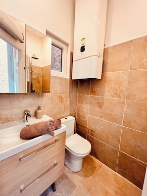 Shower, hair dryer, towels, toilet paper