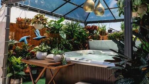 A hot tub surrounded by potted plants in a covered outdoor area. - Entertainer's paradise pool, Spa, Movie room pet friendly, close to Aust Zoo! (Queensland)