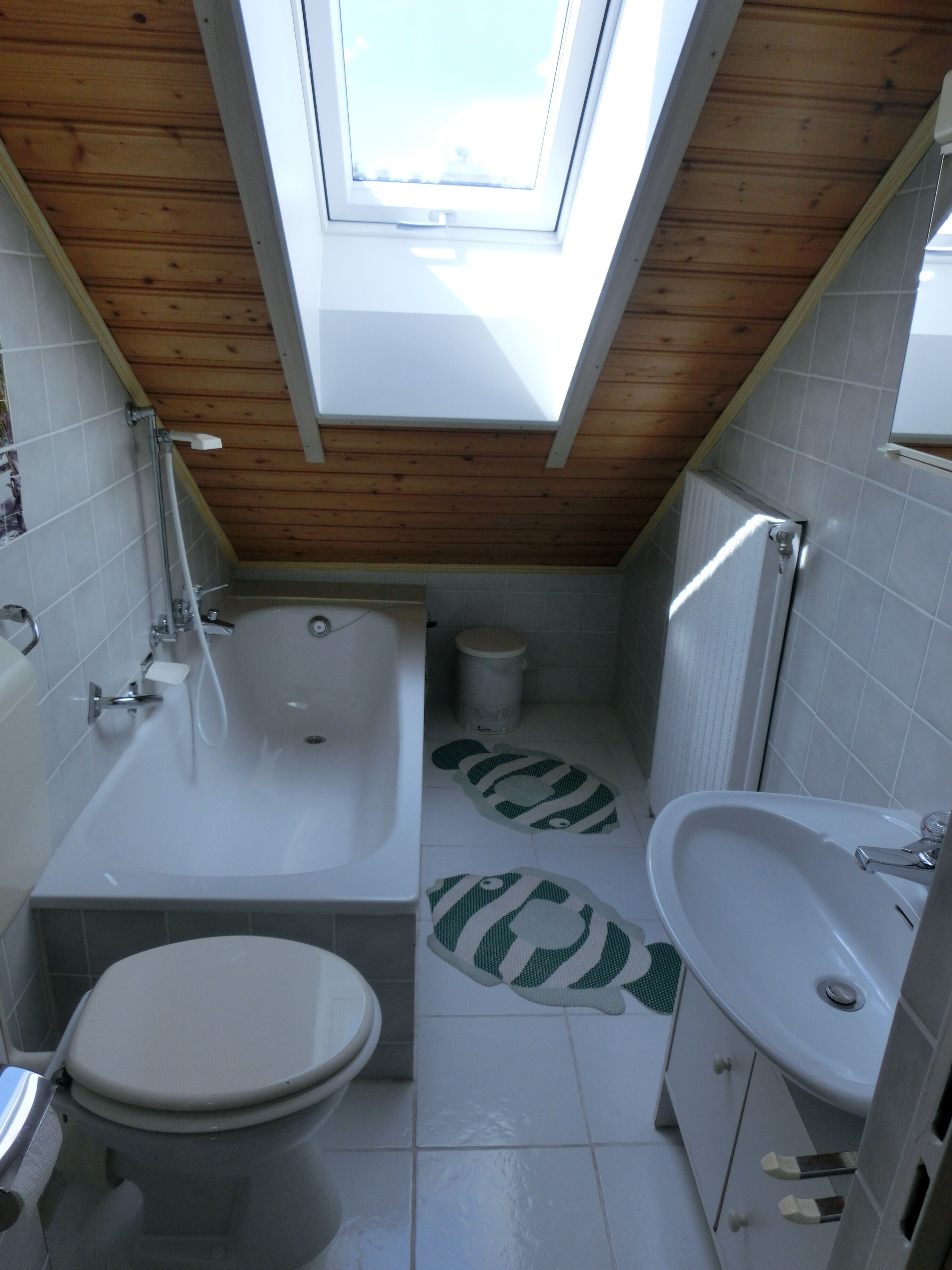 Dusche, Handtücher, Toilettenpapier