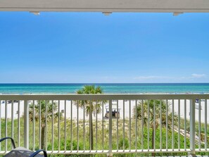 Condo, Multiple Beds (Celadon 203) | Property grounds - Celadon 203 (Panama City Beach)