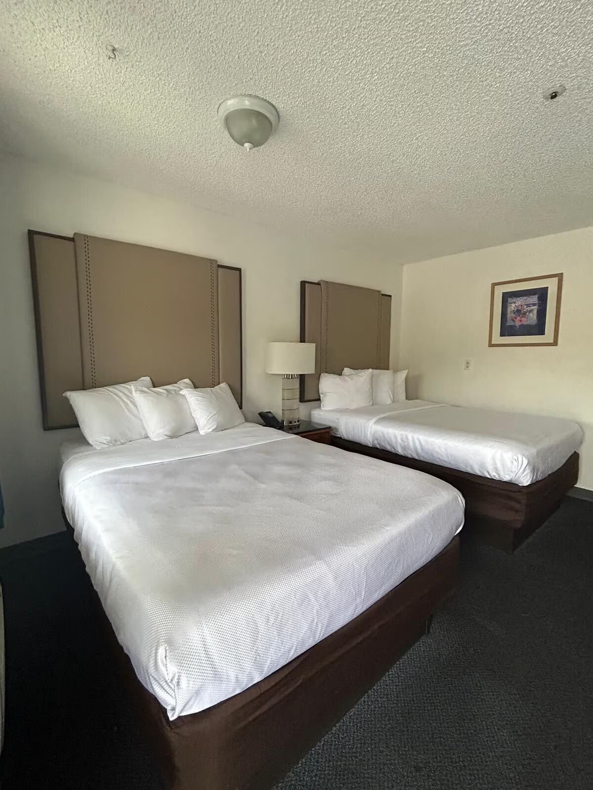 A hotel room with two beds, a nightstand, a lamp, and a ceiling light fixture.