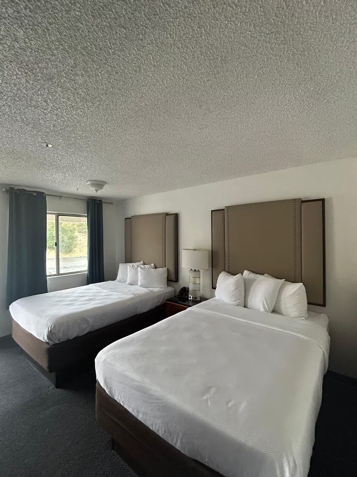 A hotel room with two beds, a window with curtains, a lamp, and a ceiling with a light fixture.