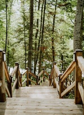 Terrain de l’hébergement 