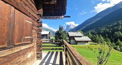 La Granzeta - Chalet- Authentique - EvolĂšne