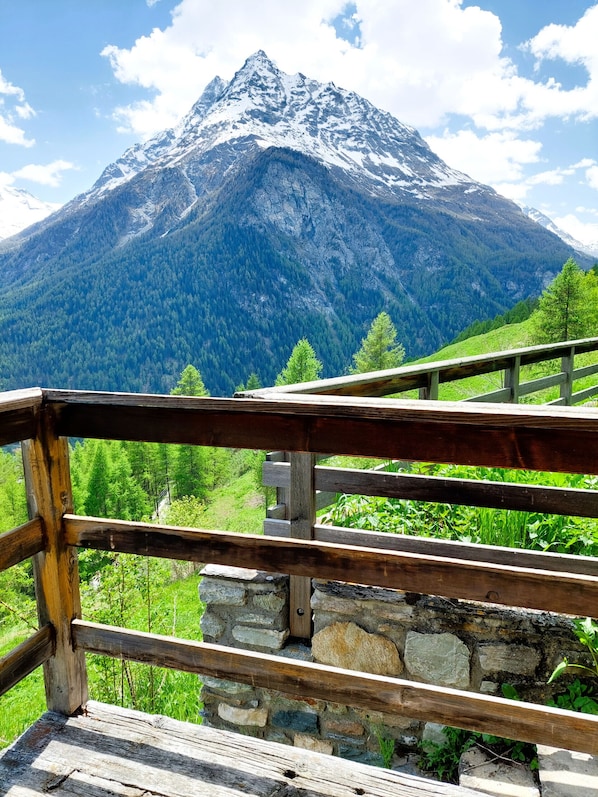 Property grounds - Mayen Farquesses Mayen de Montagne 4 personnes (Evolène)