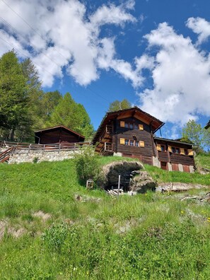 Eksteriør