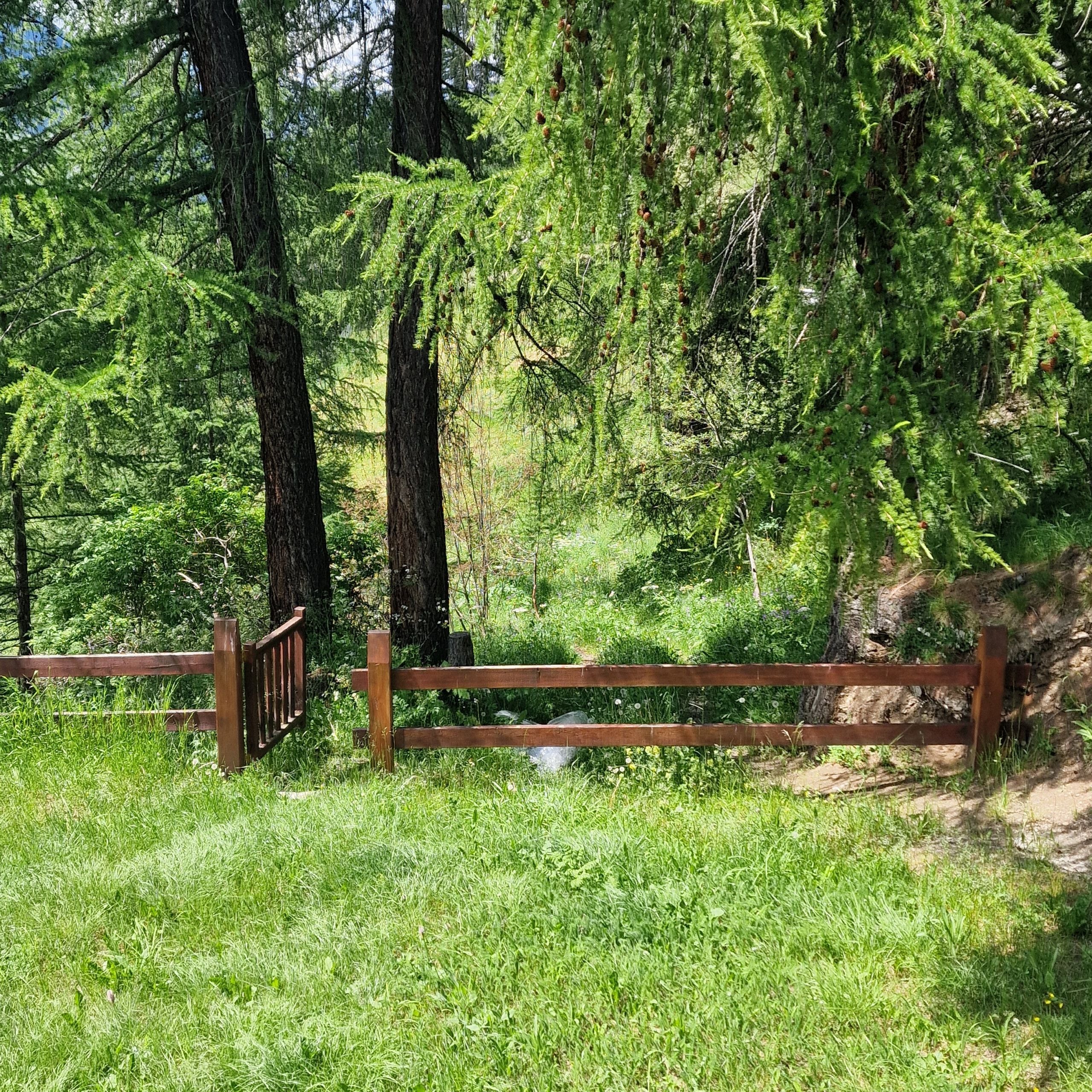 Una cerca de madera en un área boscosa con árboles altos y césped verde.