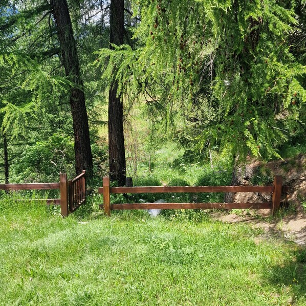 A wooden fence in a forested area with tall trees and green grass.