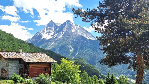 A rustic cabin with a stone foundation and a wooden exterior, surrounded by lush greenery and a mountain backdrop. - Chalet Tourbillon Gerber - La Sage (La Sage)