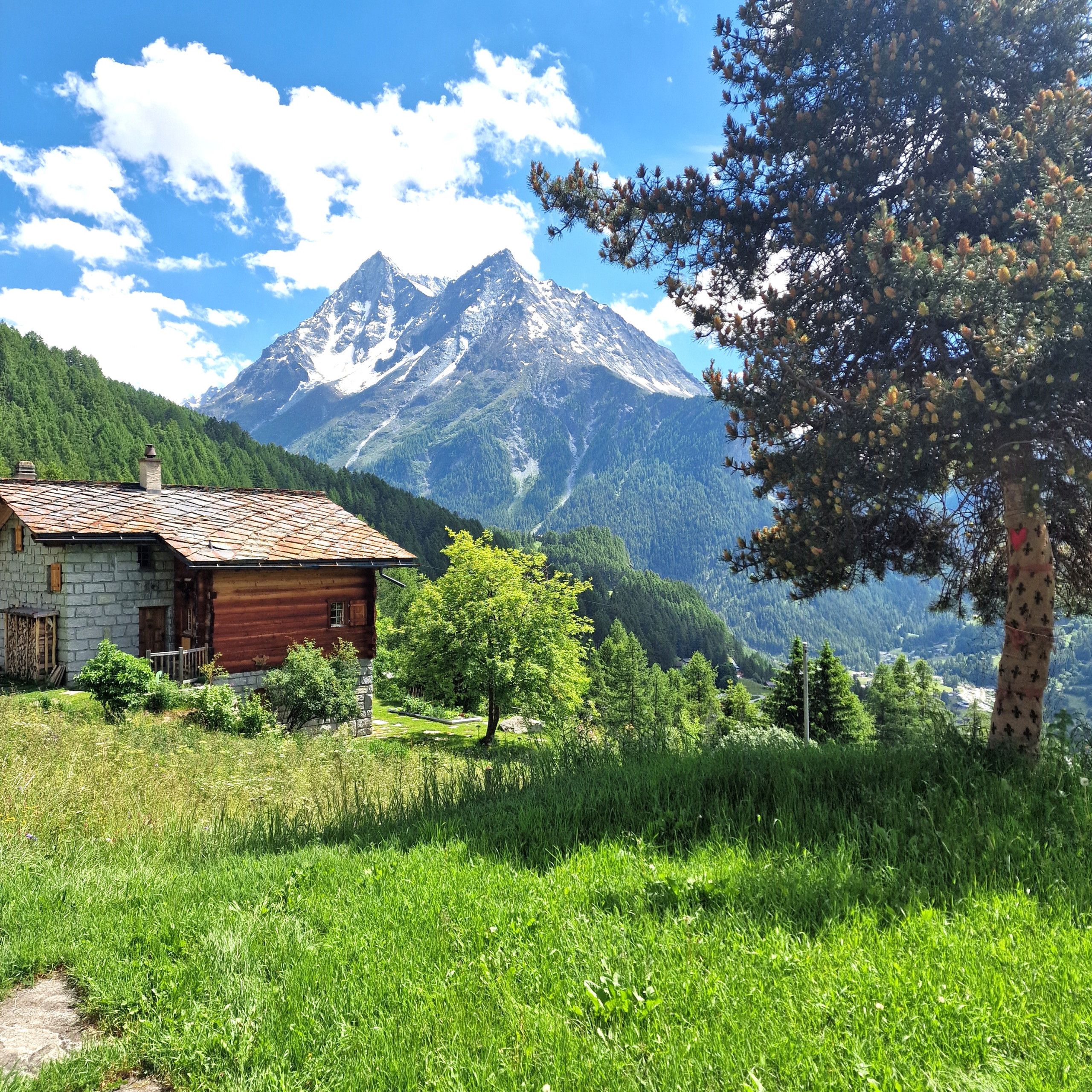 A rustic cabin with a stone foundation and a wooden exterior, surrounded by lush greenery and a mountain backdrop.