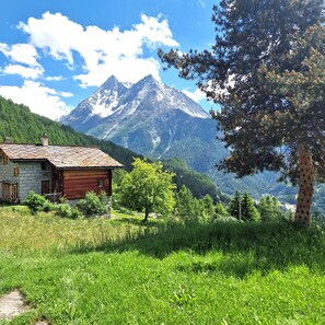 A rustic cabin with a stone foundation and a wooden exterior, surrounded by lush greenery and a mountain backdrop.