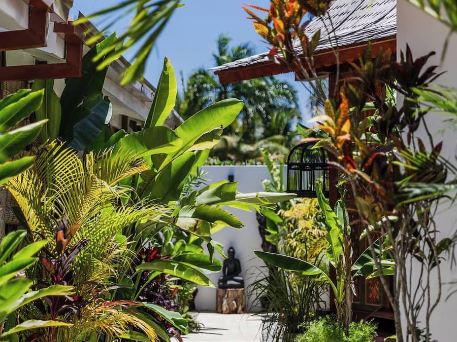 A pathway flanked by lush tropical plants leading to a building with a statue in the background.