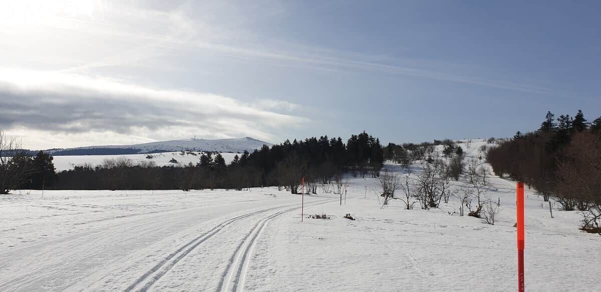 Paesaggio innevato con cielo sereno, uno specchio d'acqua e una zona boschiva.