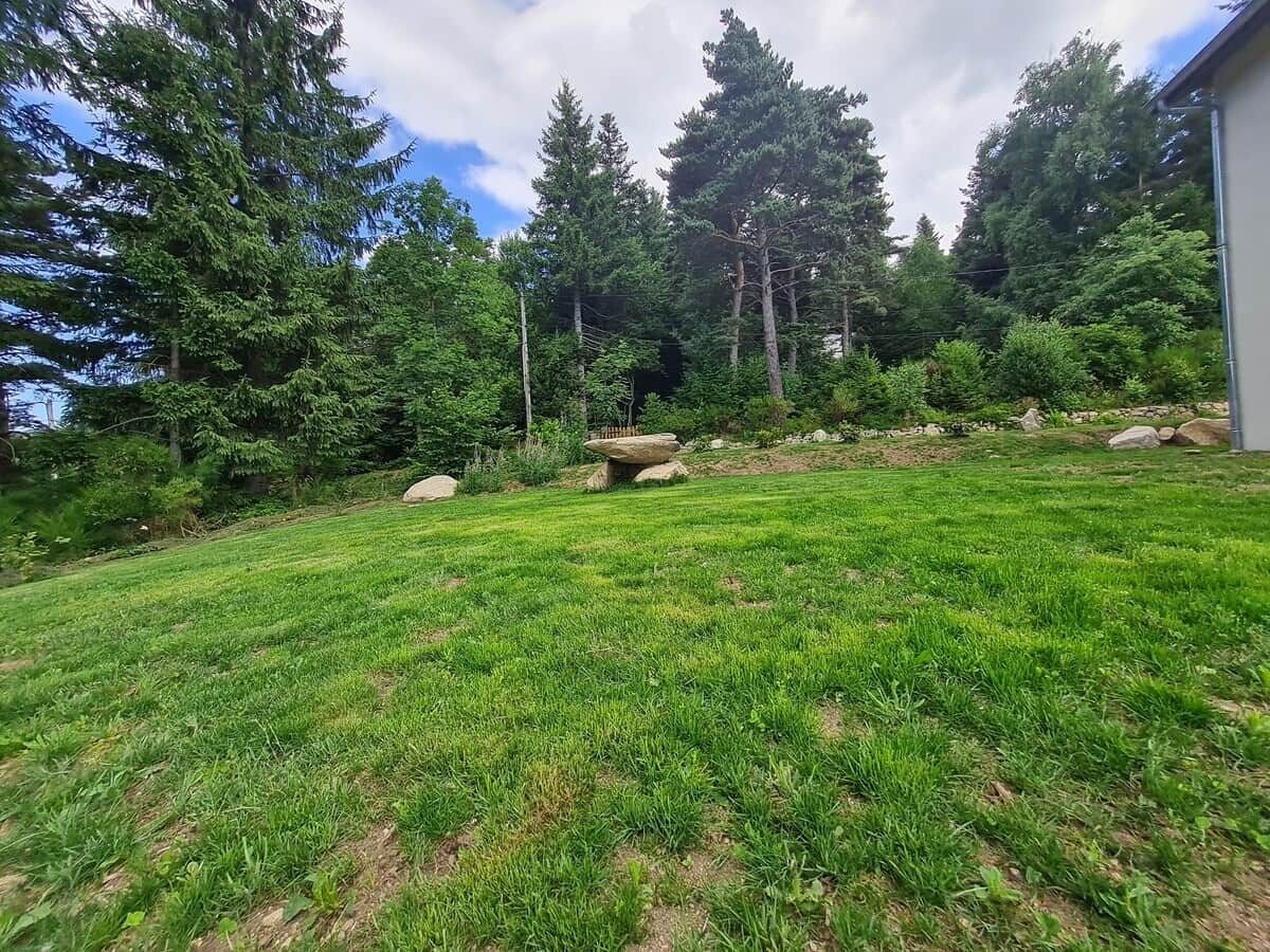 A grassy yard with a large rock and trees.