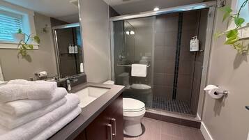 Shower, hair dryer, towels, soap