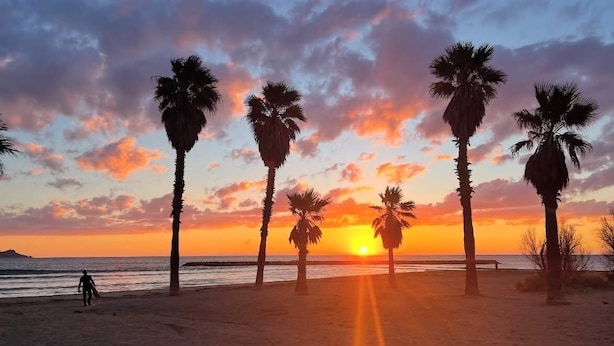 A beach with palm trees and a sunset.