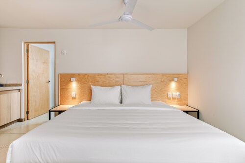 Pájaros by Homirent