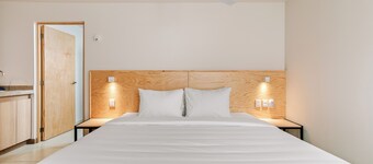 Pájaros by Homirent