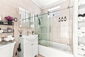 Hair dryer, towels, soap, toilet paper