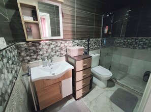 Ducha, secador de pelo, bidé y toallas