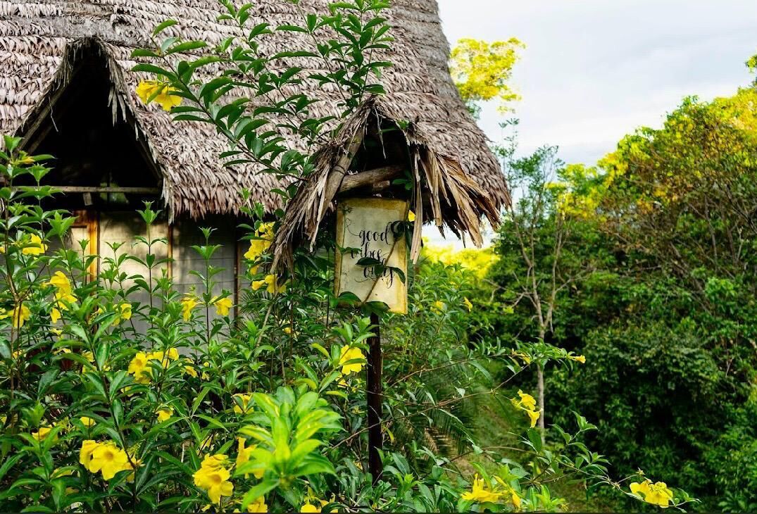 Uma casa rústica com telhado de colmo, rodeada por vegetação exuberante e flores amarelas.