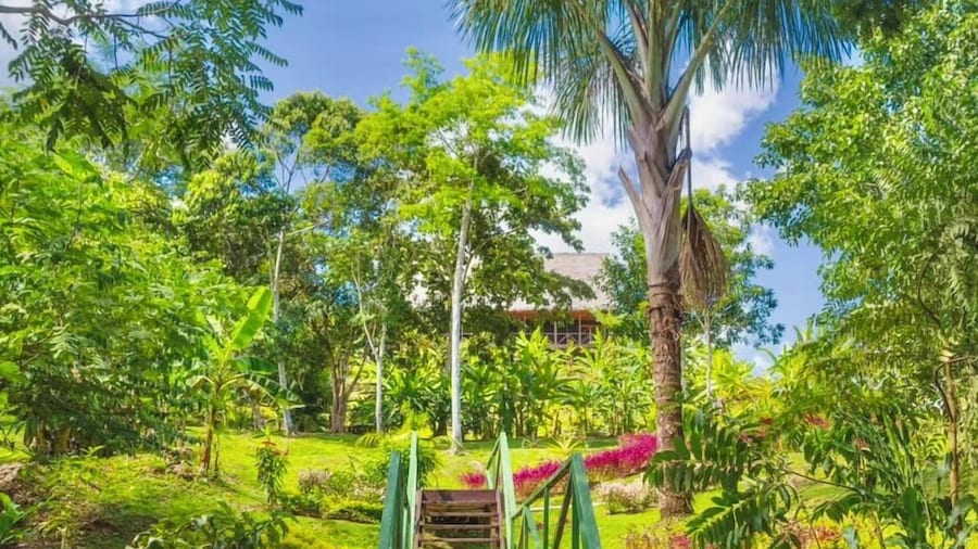 Flower of Life ayahuasca Healing Center