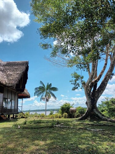 Flower of Life ayahuasca Healing Center