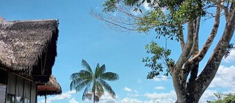 Flower of Life ayahuasca Healing Center