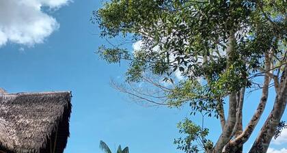 Flower of Life ayahuasca Healing Center