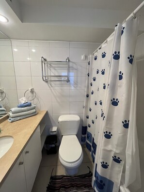 Hårtork, handdukar, tvål och toalettpapper