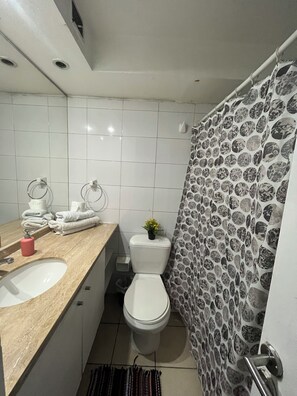 Hair dryer, towels, soap, toilet paper