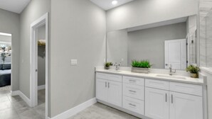 A modern bathroom with a large vanity, a mirror, and a plant.