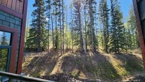 A view from a balcony overlooking a forested area with tall trees and a stone wall.