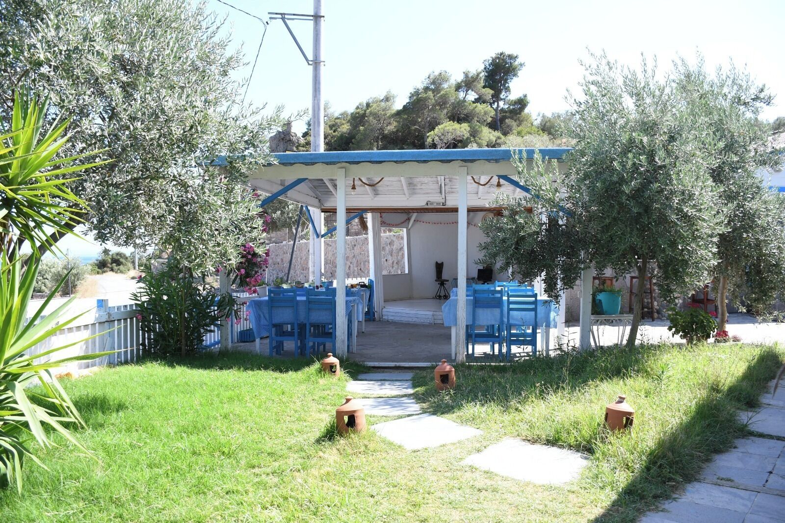 An outdoor seating area with blue tables and chairs, surrounded by greenery and olive trees.