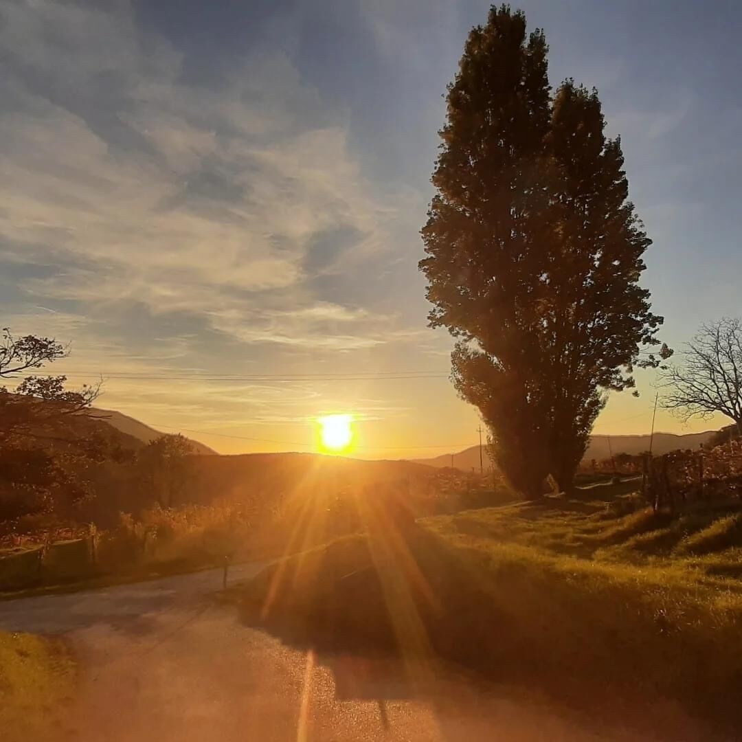 Un atardecer sobre un paisaje rural con un árbol destacado y una carretera que se extiende hacia la distancia.