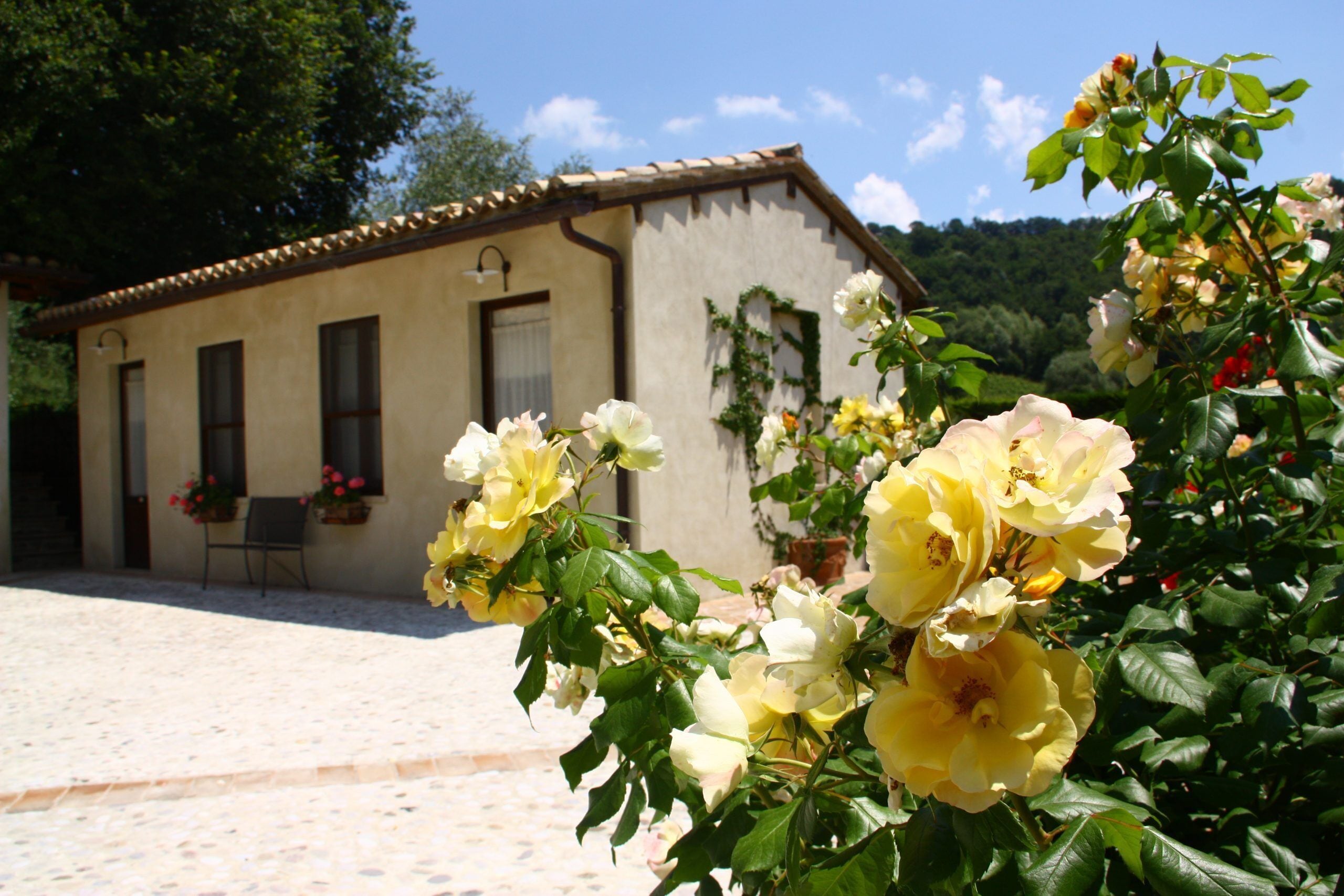 Un edificio con tetto in tegole e una porta, circondato da un giardino fiorito con fiori gialli e bianchi.
