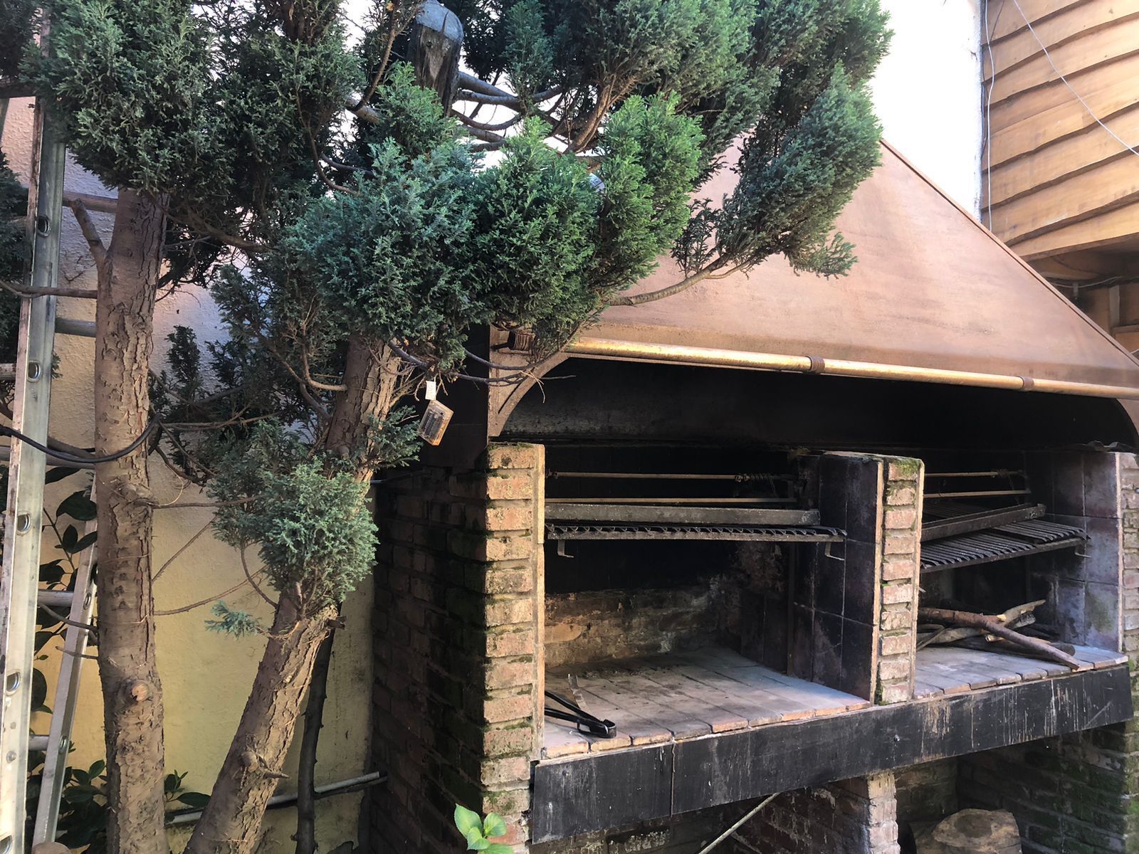 Un horno de ladrillo al aire libre con techo metálico, rodeado de árboles y una escalera.