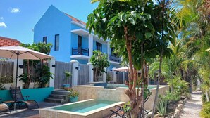 Zona de piscina con un edificio azul al fondo, rodeada de plantas tropicales y una valla de madera.