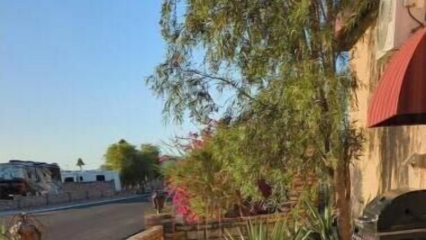 A paved driveway leading to a brick wall with a small garden area featuring agave plants and a barbecue grill. - Beautiful private room, garden! (Yuma)