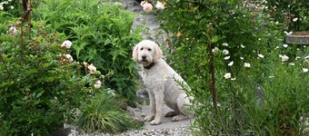 Bro Deg – Your Cosy Cottage Getaway in Moylegrove