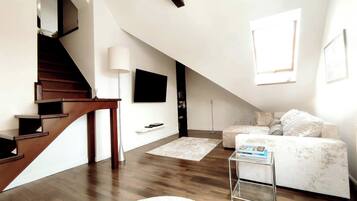 Smart TV, books, video library