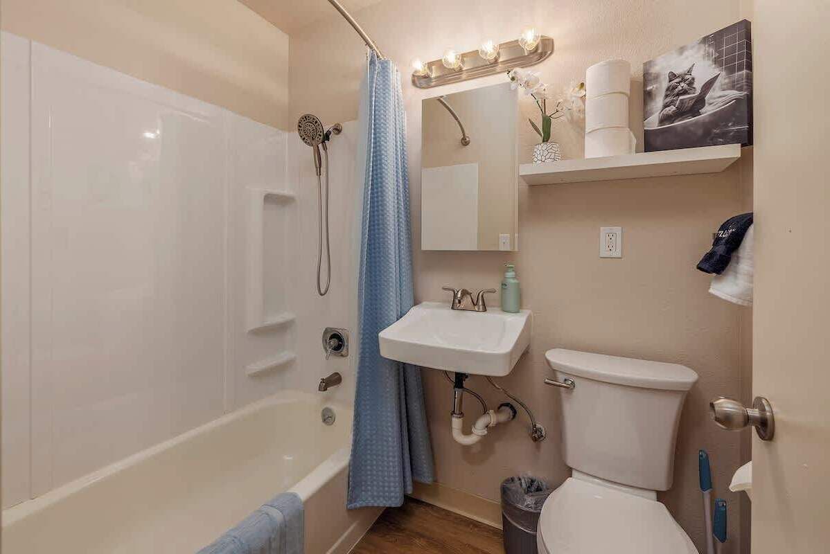 Suihku, hiustenkuivaaja