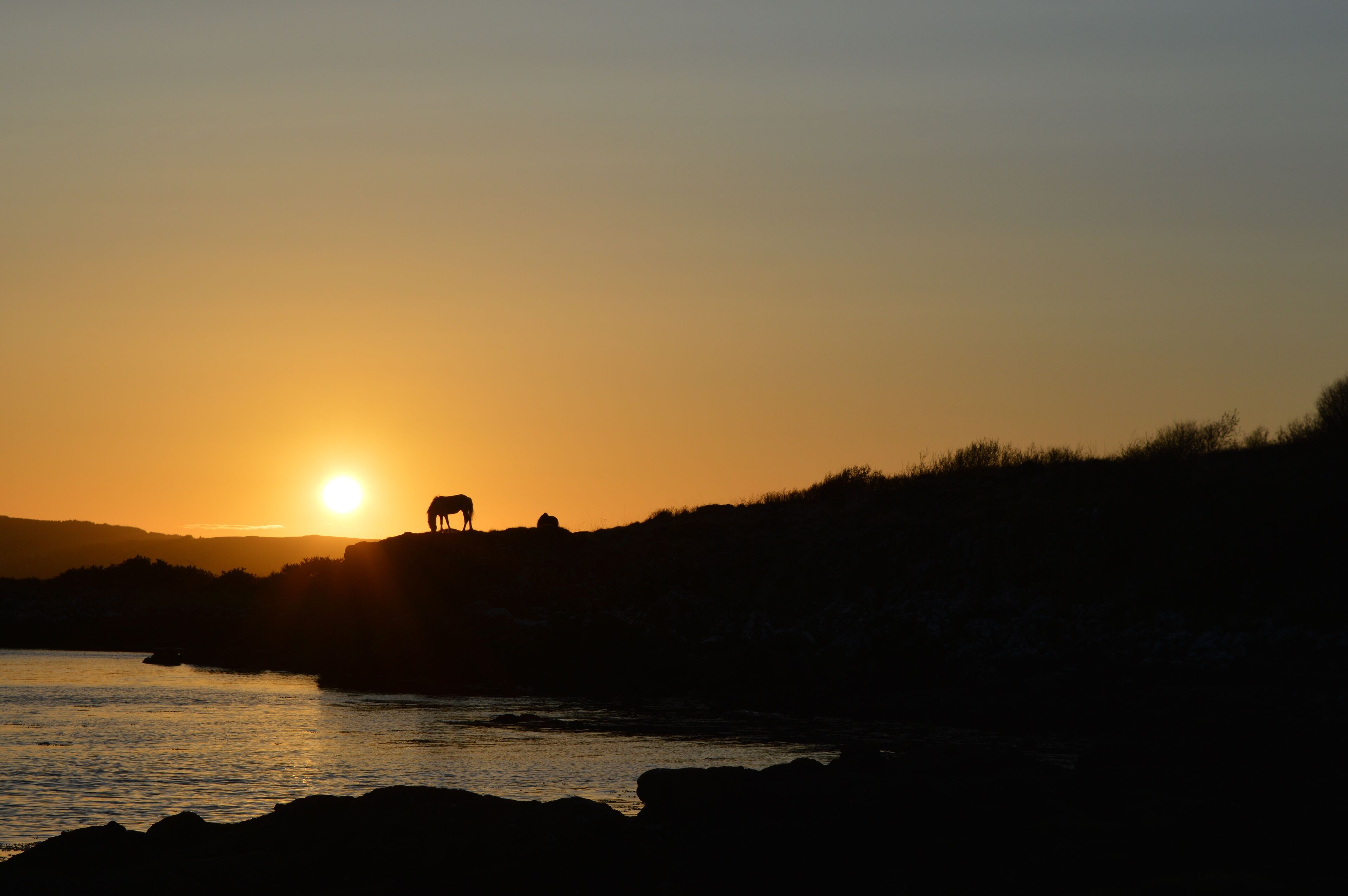 A sunset over a body of water with silhouettes of animals on a hill.