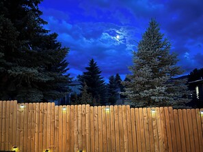Une clôture en bois avec des lattes verticales régulièrement espacées, un décor d’arbres à feuilles persistantes et un ciel nocturne nuageux.