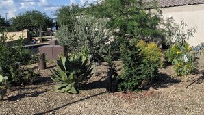 A garden with various plants and a building with a tiled roof. - Charming 1-bdrm home w/ Garden tucked into an amazing 55+ community in Sahuarita (Sahuarita)